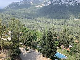Trinitys Forest Bungalows