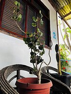 Hostal Las Gardenias