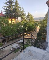 Kaplan Pansiyon
