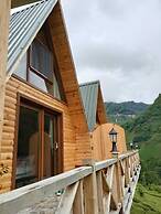 Purkinora Bungalov