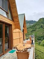 Purkinora Bungalov