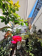 El Jardin de la Abuela