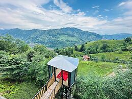 Organikkoy Bungalov