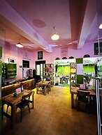 Roma Norte Hostal