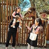 Natura Fun House & Camping