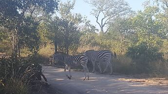 Kruger National Elephant Point Lodge