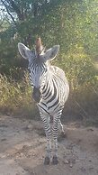 Kruger National Elephant Point Lodge