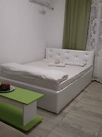 Stunning Green Studio 43