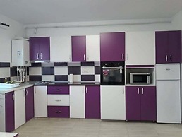 Captivating 1-bed Studio in Roșu
