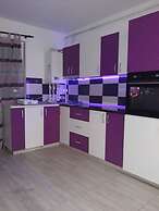 Captivating 1-bed Studio in Roșu