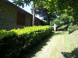Amazing Stay in Tuscany Rustic Style