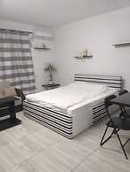 Impeccable 1-bed Studio in Roșu