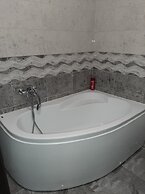 Inviting 1-bed House in Roșu