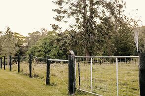 Contained in Nimbin