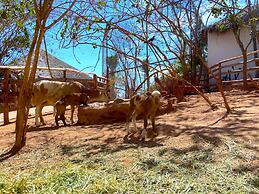Palm Valley Cabins