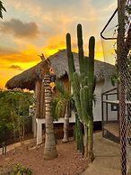 Palm Valley Cabins