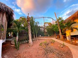 Palm Valley Cabins