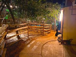 Palm Valley Cabins
