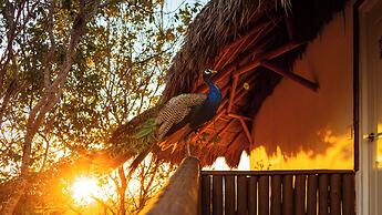 Palm Valley Cabins