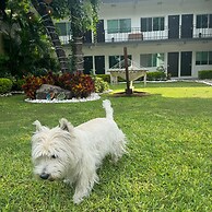Hotel Luciérnaga
