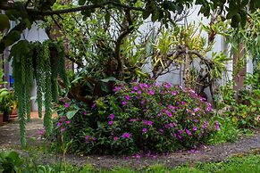 Cabinas las Manzanas Bed y Breakfast