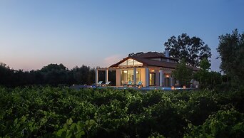 Aneli Villas - Villa Elissavet