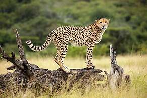 Sungulwane Private Game Lodge