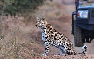 Sungulwane Private Game Lodge