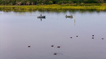 Makakatana Bay Lodge