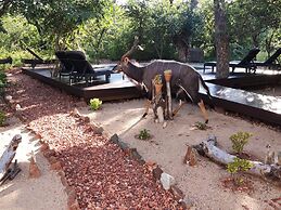 Gem in the bush lodge