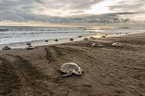 Ostional Turtle Lodge