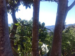 Les Jardins d'Arbousse