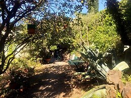 Les Jardins d'Arbousse