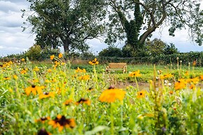 Veiko - Mayflower Meadow
