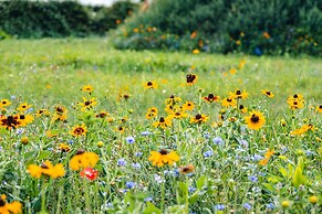 Veiko - Mayflower Meadow