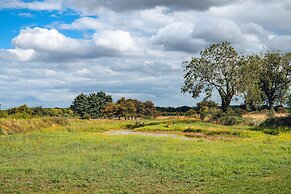 Andrus - Mayflower Meadow