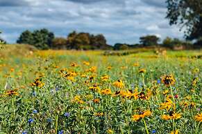 Indrek - Mayflower Meadow