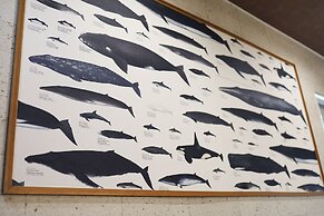 The Beehive Otaru