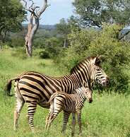 Amanzimlotzi Riverside Bush Camp