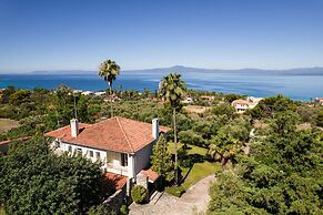 Old Sport Mansion