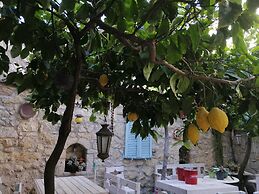 Kaktushan Otel