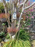 Beachhaven116, Lovely Beachside House, Lower Largo