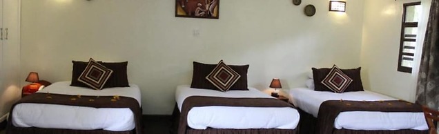 Da Vinci Gorilla Lodge