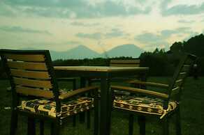 Da Vinci Gorilla Lodge