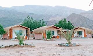 Shanty camp