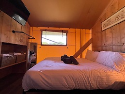 Aladdin Safari Tent