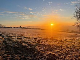 The Pennymoor