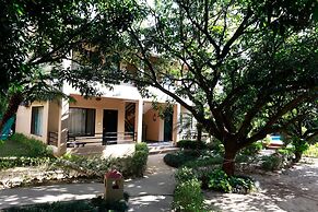 Corbett Aroma Park By Royal Collection