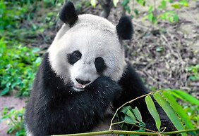 HUALUXE Leshan by IHG