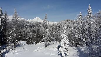 Chalet Pehta - Velika Planina